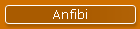 Anfibi