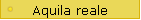 Aquila reale