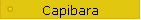 Capibara