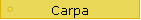 Carpa
