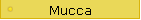 Mucca