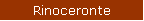 Rinoceronte