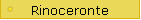 Rinoceronte