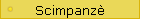 Scimpanz�