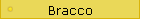 bracco