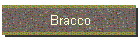 Bracco