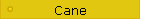Cane