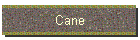 Cane