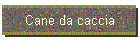 Cane da caccia