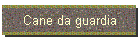 Cane da guardia