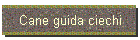 Cane guida ciechi