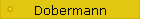 Dobermann