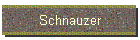 Schnauzer