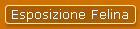 Esposizione Felina