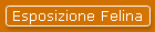 Esposizione Felina