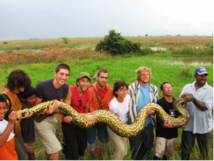 Anaconda