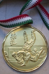 medaglia judo