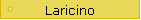 Laricino