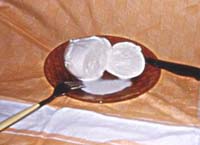 mozzarella