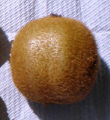 Kiwi