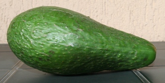 avocado