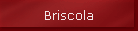 briscola