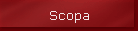 Scopa