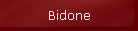 Bidone