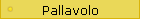 Pallavolo