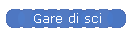 Gare di sci