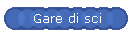 Gare di sci